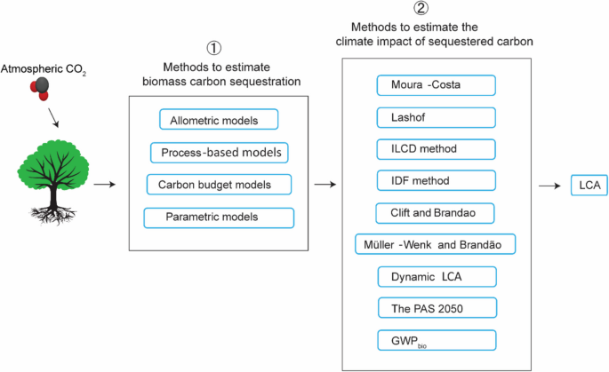 Methods for quantifying and incorporating biomass carbon sequestration ...