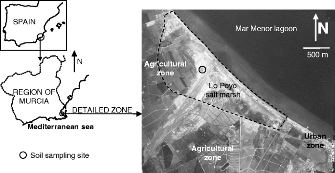 graphic_overview