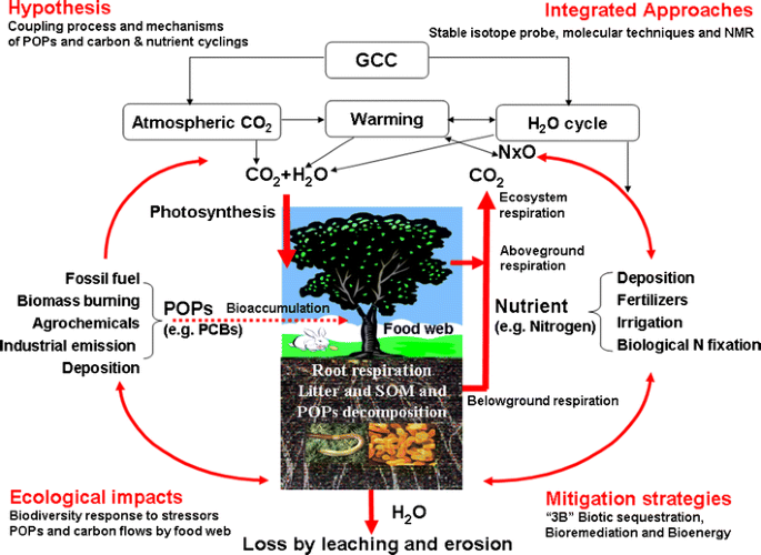 How do persistent organic pollutants be coupled with biogeochemical cycles  of carbon and nutrients in terrestrial ecosystems under global climate  change? | SpringerLink