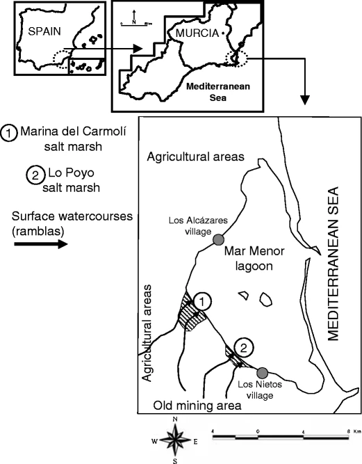 graphic_overview