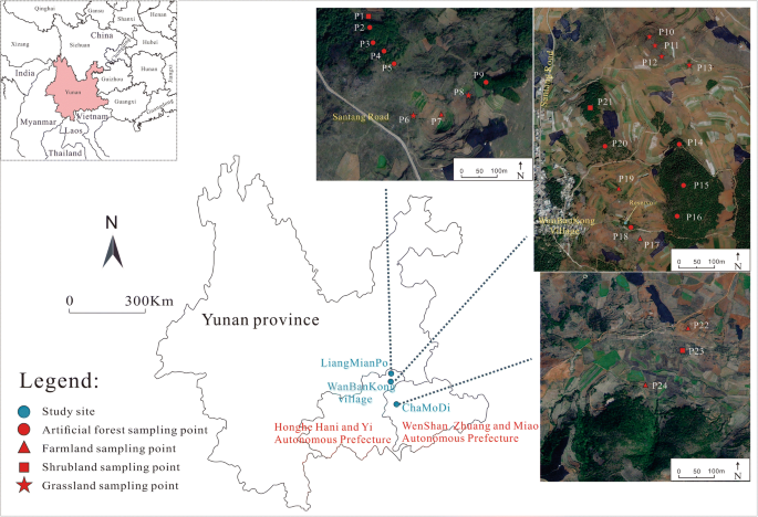 The effect of land use change and soil redistribution on soil organic  carbon dynamics in karst graben basin of China | SpringerLink