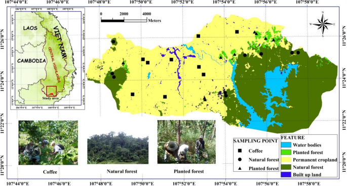 Deforestation and land use changes impact soil organic carbon stocks in ...