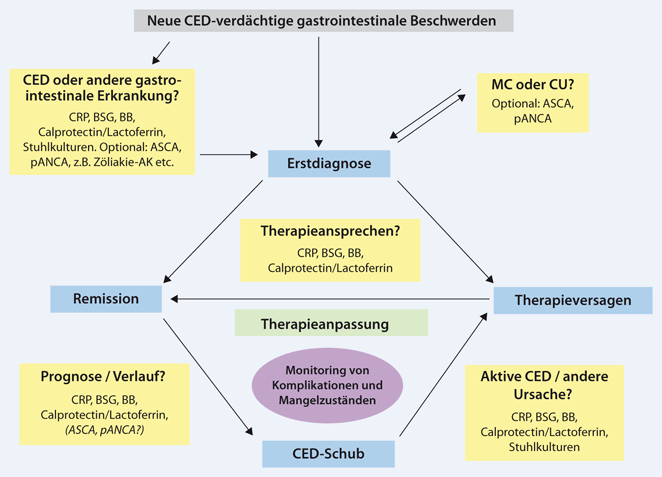 Labordiagnostik bei chronisch-entzündlichen Darmerkrankungen,  einschließlich Blut- und Stuhldiagnostik | SpringerLink