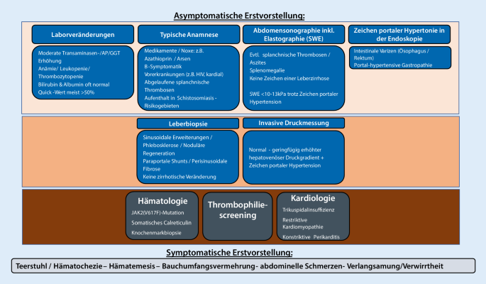 Nichtzirrhotische Portale Hypertension Ursachen Und Praktisches Management Springerlink