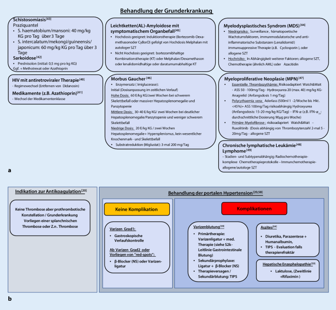 Nichtzirrhotische Portale Hypertension Ursachen Und Praktisches Management Springerlink