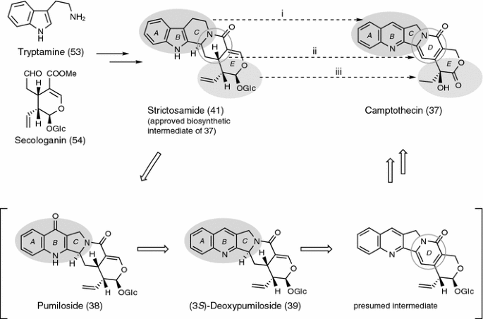 figure 16