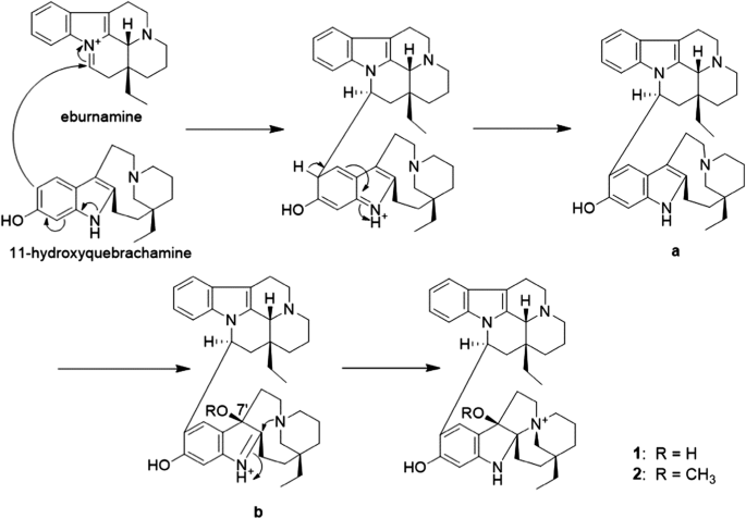 scheme 1