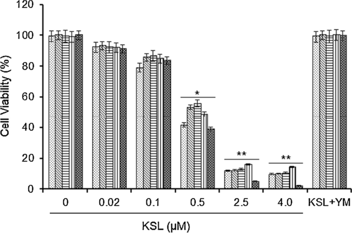 Structure And Anticancer Activity Of A New Lectin From The Cultivated Red Alga Kappaphycus Striatus Springerlink