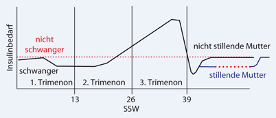 Insulintherapie in der Schwangerschaft | SpringerLink