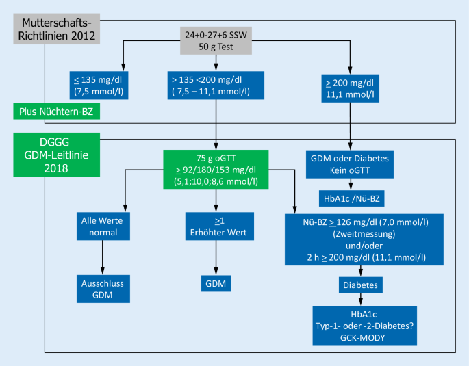 Aktuell Geltende Leitlinie Gestationsdiabetes Springerlink