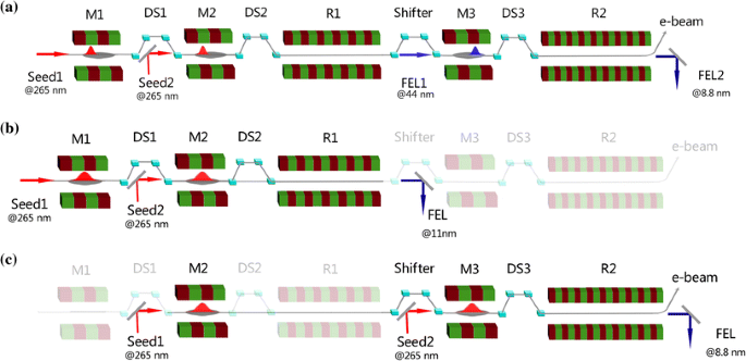 Gain curves of the EEHG and HGHG FEL at SDUV-FEL. Intensity is measured