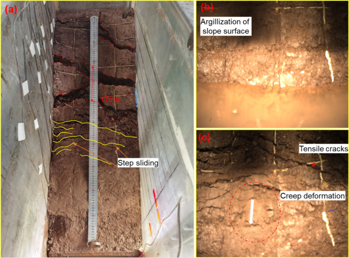 Simple At-Home Soil Checks