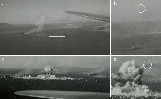 Documenting the First Three U.S. Aircraft Discovered in Truk Lagoon from  Operation Hailstone (February, 1944) | Journal of Maritime Archaeology