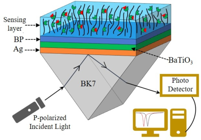 Prism Based Surface Plasmon Resonance Sensor Using Ag/BaTiO3/BP Layers ...