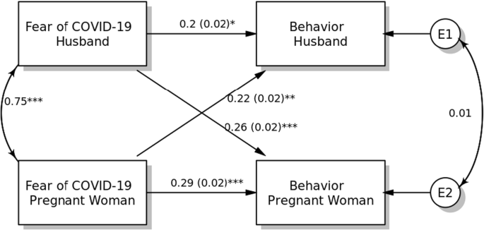 Associations Between Fear Of Covid 19 Mental Health And Preventive Behaviours Across Pregnant Women And Husbands An Actor Partner Interdependence Modelling Springerlink