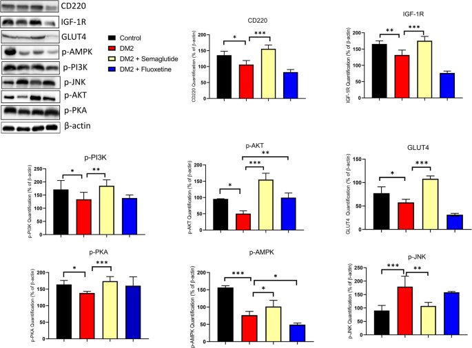 semaglutide pka Semaglutide Attenuates Anxious and Depressive-Like Behaviors and Reverses  the Cognitive Impairment in a Type 2 Diabetes Mellitus Mouse Model Via the  Microbiota-Gut-Brain Axis | Journal of Neuroimmune Pharmacology