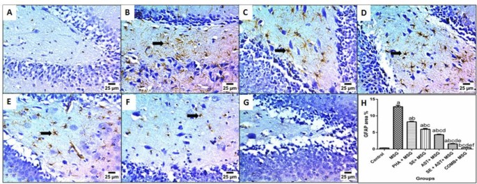 Modulating Multiple Molecular Trajectories by Nutraceuticals and/or Physical Activity in Attention-Deficit/Hyperactivity Disorder (ADHD)-Like Behaviors in Rat Pups | Journal of Neuroimmune Pharmacology | Springer Nature Link Modulating Multiple Molecular Trajectories by Nutraceuticals and/or Physical Activity in Attention-Deficit/Hyperactivity Disorder (ADHD)-Like Behaviors in Rat Pups | Journal of Neuroimmune Pharmacology | Springer Nature Link