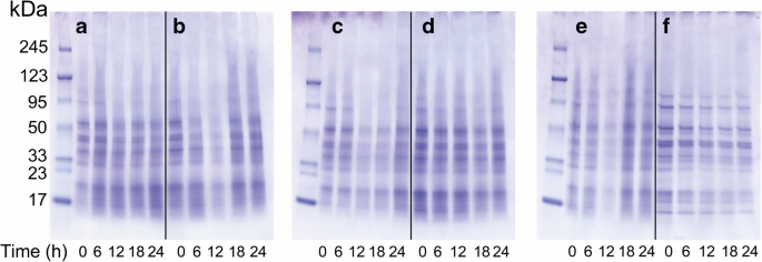 Effect Of Maltodextrin Dextrose Equivalent On Electrospinnability And Glycation Reaction Of Blends With Pea Protein Isolate Springerlink