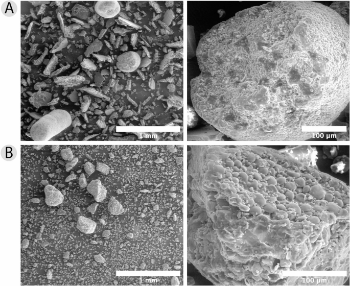 Insights into the Morphology, Chemical Structure, and Moisture ...