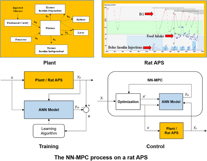 Neural Network Based Model Predictive Control For Type 1 Diabetic Rats On Artificial Pancreas System Springerlink