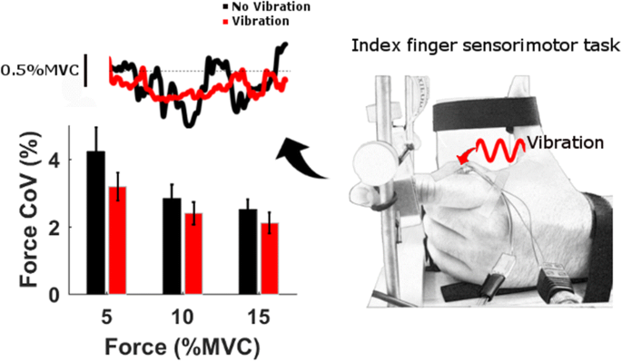 Sinusoidal vibrotactile stimulation differentially improves force  steadiness depending on contraction intensity | Medical & Biological  Engineering & Computing
