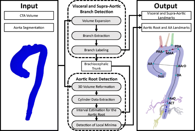 Automatic Detection Of Anatomical Landmarks Of The Aorta In Cta