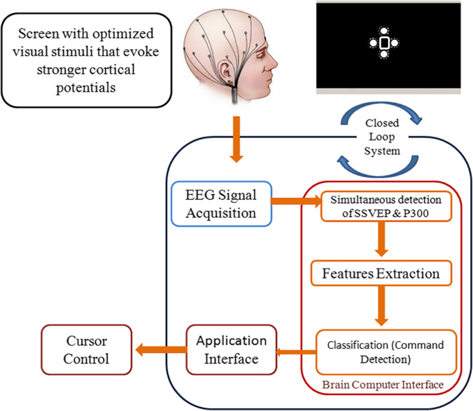 Control Mouse Cursor by Head Movement: Development and Implementation