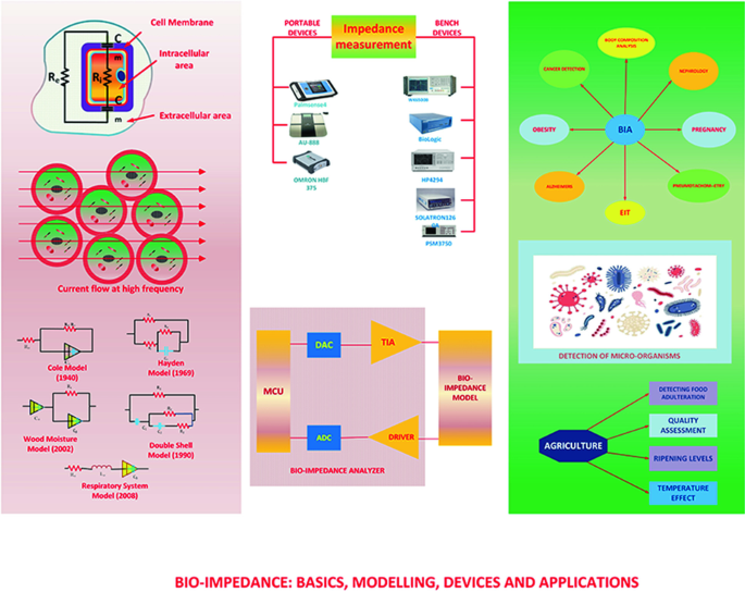 thesis bio impedance