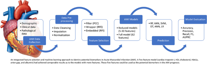 A biomarker discovery of acute myocardial infarction using feature ...