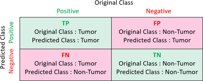 essay on brain tumor figure 16