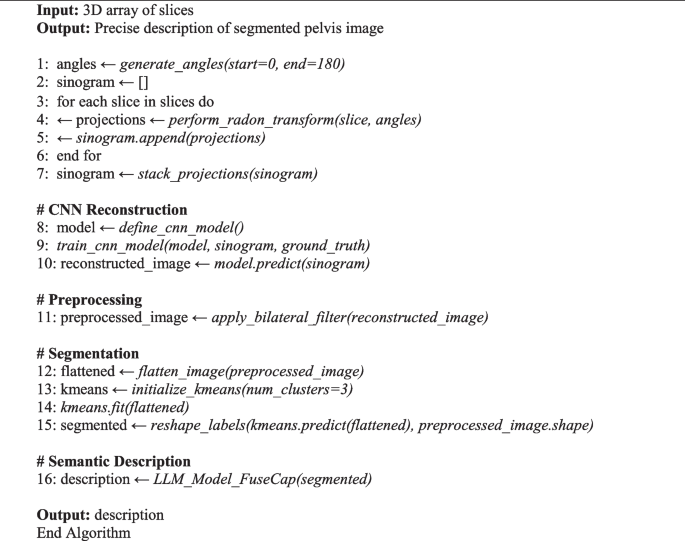 Integrating CT image reconstruction, segmentation, and large language ...