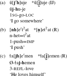 Phonological Grammatical And Written Words In Wichi Springerlink