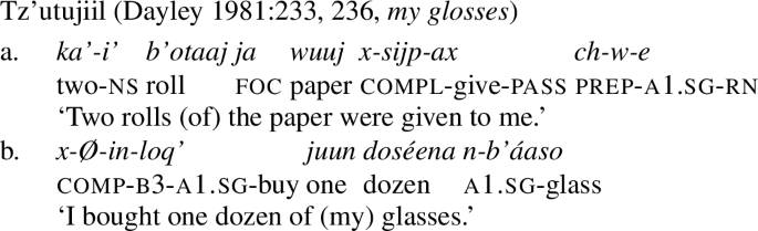 Pattern Borrowing Linguistic Similarity And New Categories Numeral Classifiers In Mayan Springerlink