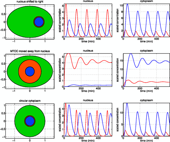 figure 25