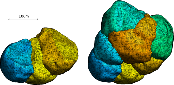 figure 25