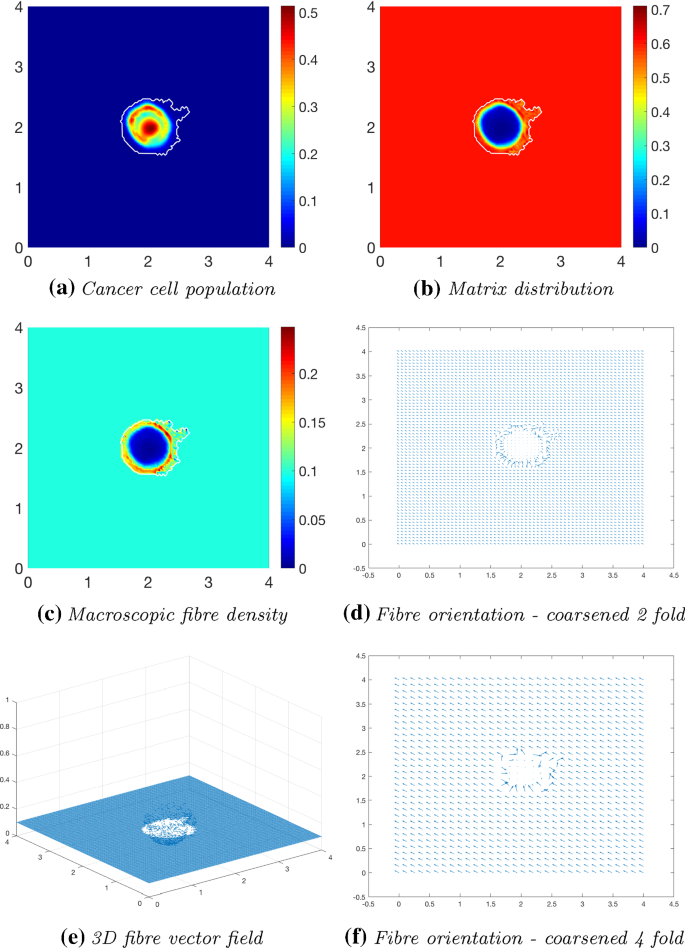 Multiscale Modelling Of Fibres Dynamics And Cell Adhesion Within Moving Boundary Cancer Invasion Springerlink