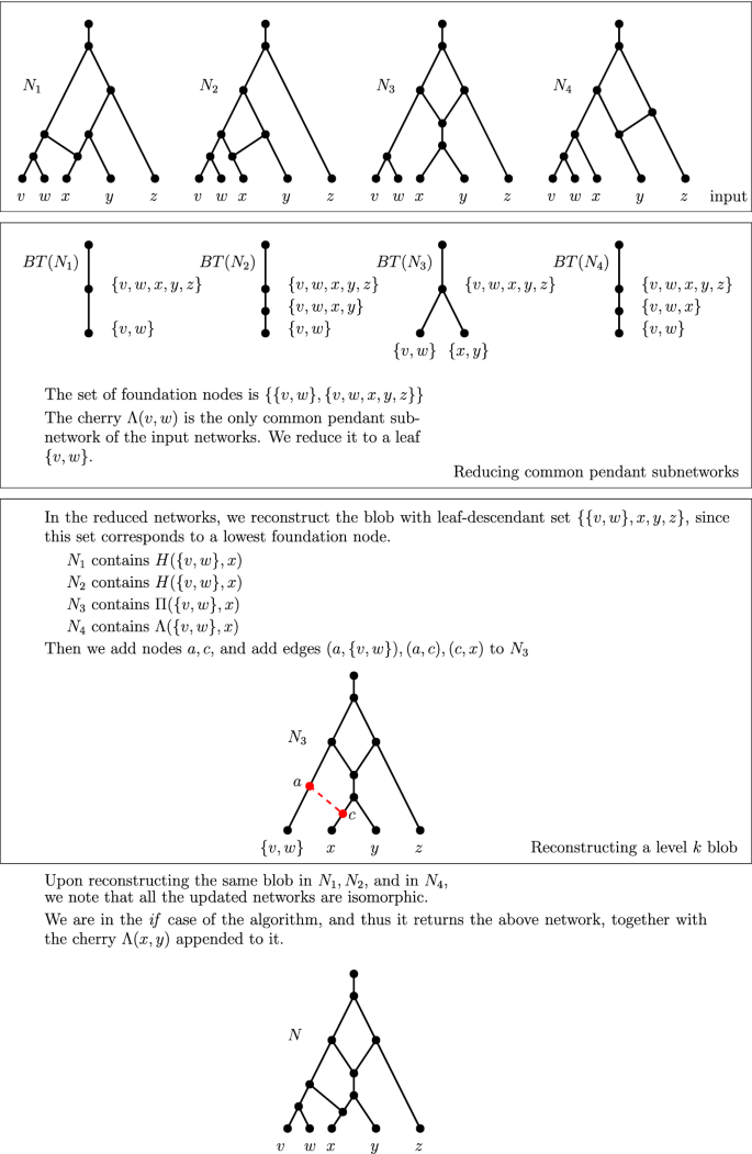 Reconstructing Tree Child Networks From Reticulate Edge Deleted Subnetworks Springerlink