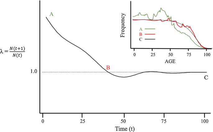On The Three Properties Of Stationary Populations And Knotting With Non Stationary Populations Springerlink