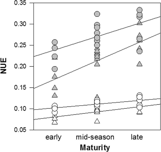 assessment of yield and yield components of starch potato cultivars solanum tuberosum l under nitrogen deficiency and drought stress conditions springerlink