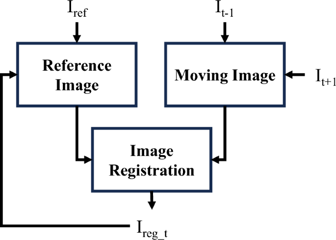 Deep learning-based segmentation of left ventricular myocardium on ...