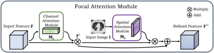 FAM: focal attention module for lesion segmentation of COVID-19 CT images |  SpringerLink