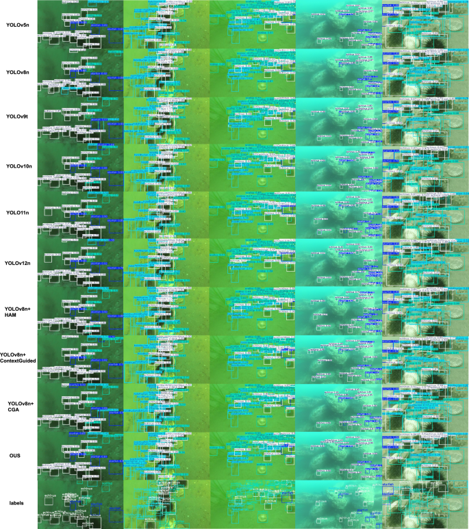 LUOD-YOLO: a lightweight underwater object detection model based on ...