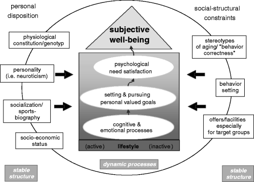 A Bio-Psycho-Social Model Of Successful Aging As Shown Through The Variable  “Physical Activity” | European Review Of Aging And Physical Activity | Full  Text