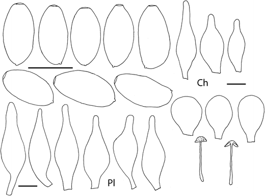 figure 28