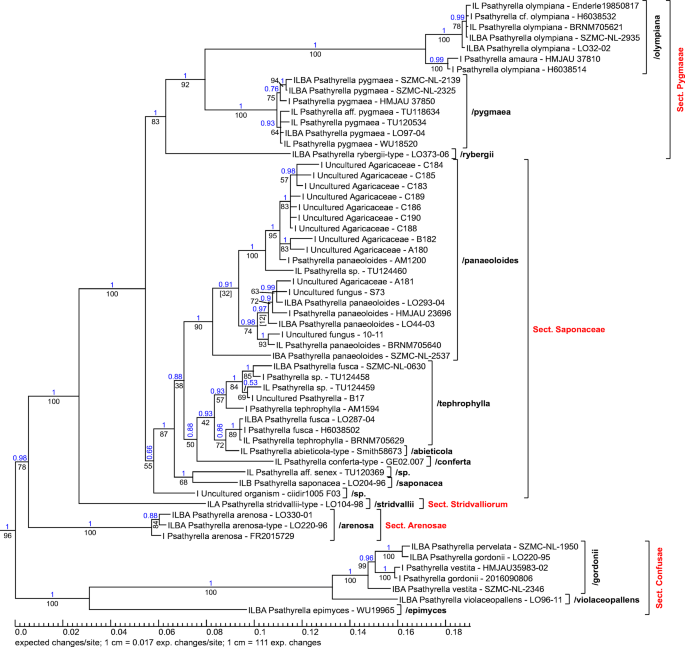 figure 71