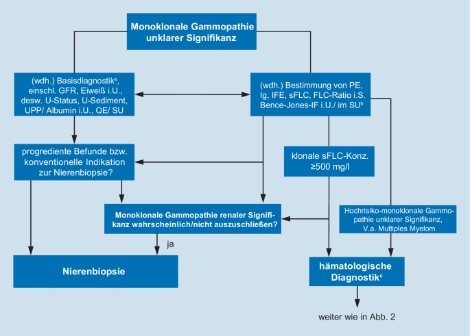 Wann sollte bei monoklonaler Gammopathie eine Nierenbiopsie erfolgen? |  SpringerLink