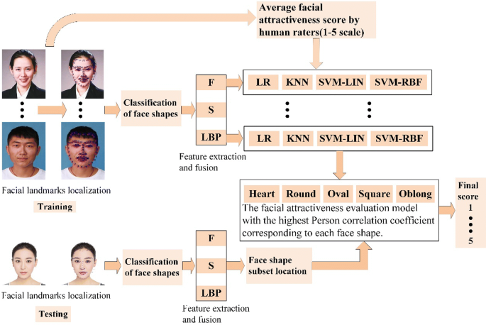 A Novel Facial Attractiveness Evaluation System Based On Face Shape Facial Structure Features And Skin Springerlink