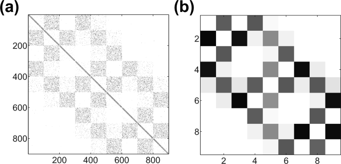 Distance-dependent connectivity in the brain facilitates high dynamical ...