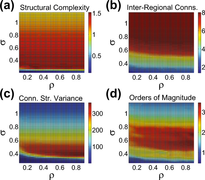 Distance-dependent connectivity in the brain facilitates high dynamical ...
