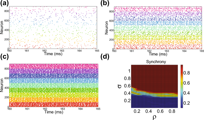 Distance-dependent connectivity in the brain facilitates high dynamical ...